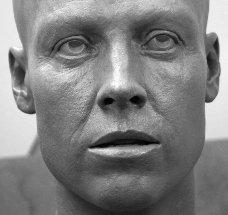Illustration for article titled You Will Not Believe What This Ripley is Made of